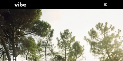 vibe Auto-Abo Screenshot